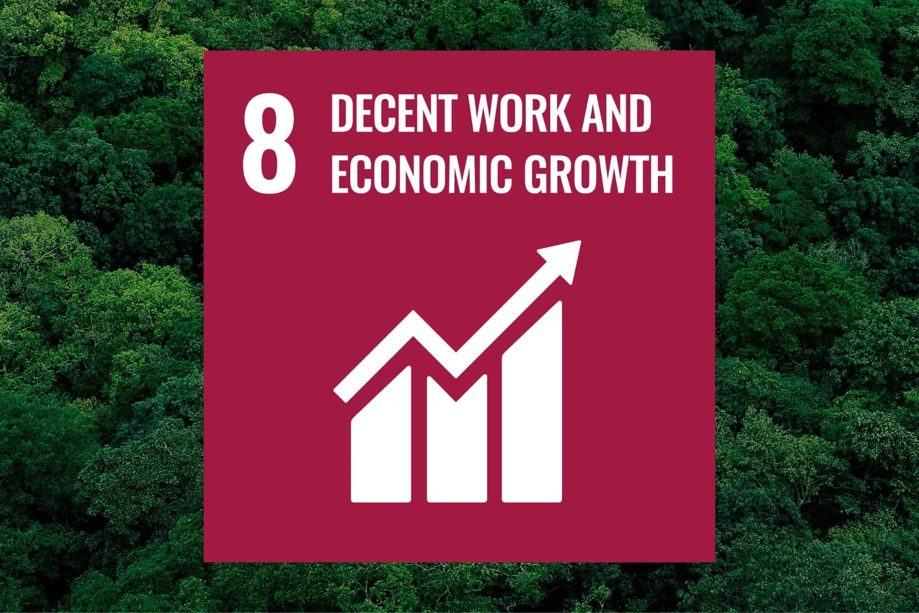 UN Global Goal 8: Decent work and economic growth